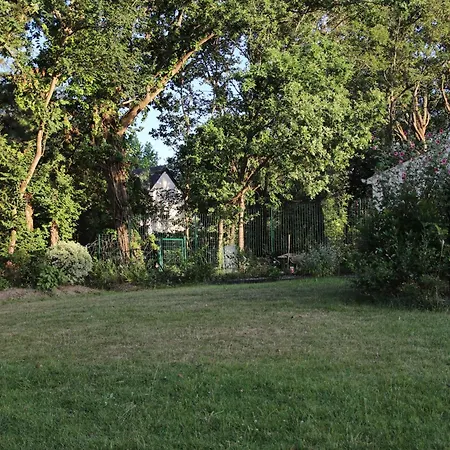 La Maison De Qui Miac